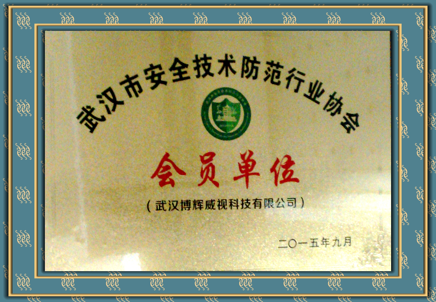 博輝威視武漢安全技術防范協會會員單位
